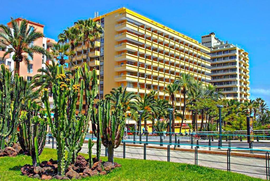 Amplio Estudio En Martianez Puerto de la Cruz (Tenerife) Exterior foto